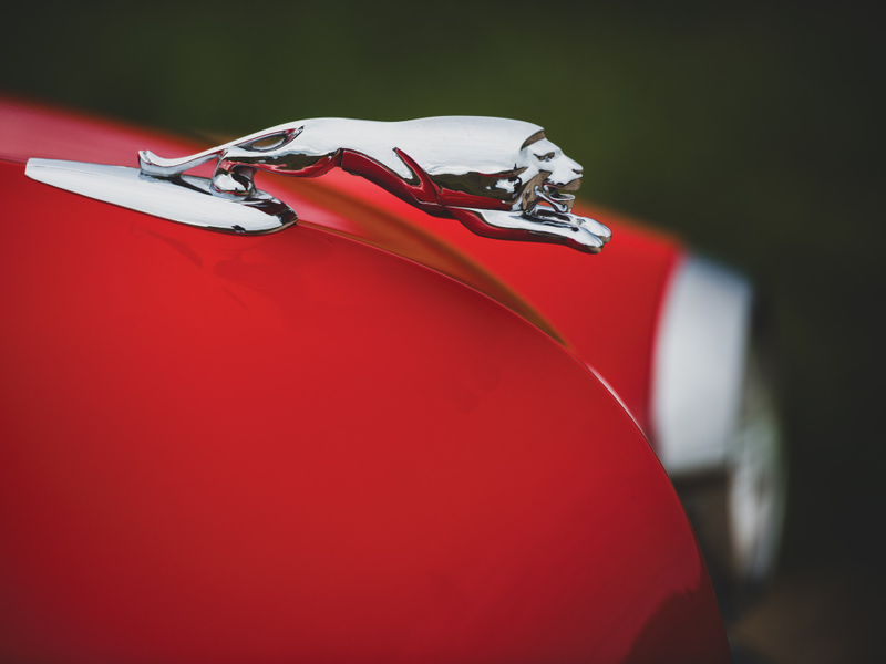Illustration for article titled This Monarch Convertible Is A Mercury By Another Name
